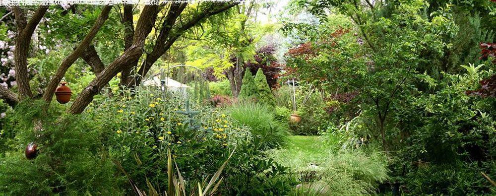 Eden Vale 4* Coloma